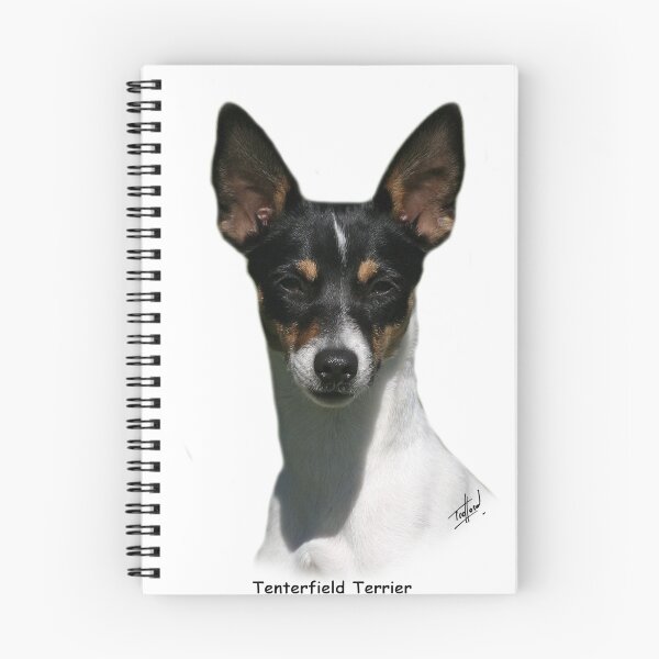 Item preview, Tenterfield Terrier designed and sold by Traffordphotos.
