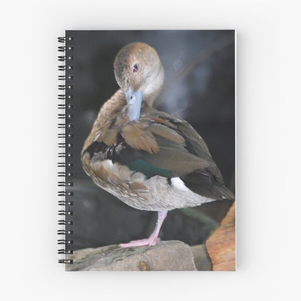 Item preview, Preening designed and sold by soulfocus.