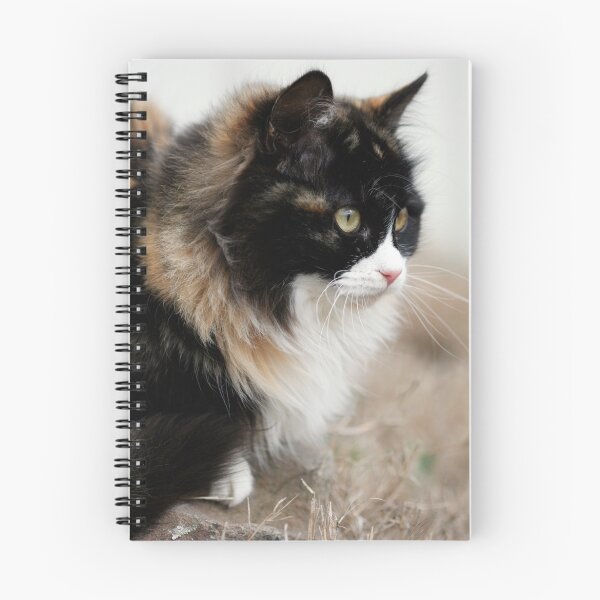 Item preview, Callie the Calico designed and sold by Sharon Morris.