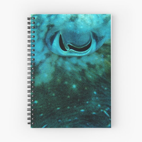 Artikelvorschau, Cuttlefish Eye entworfen und verkauft von Martin How.