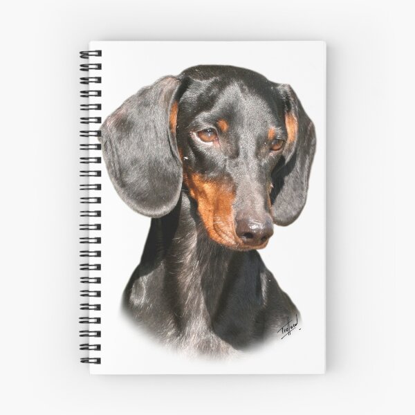 Item preview, Dachshund designed and sold by Traffordphotos.