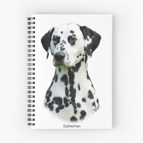 Item preview, Dalmatian designed and sold by Traffordphotos.