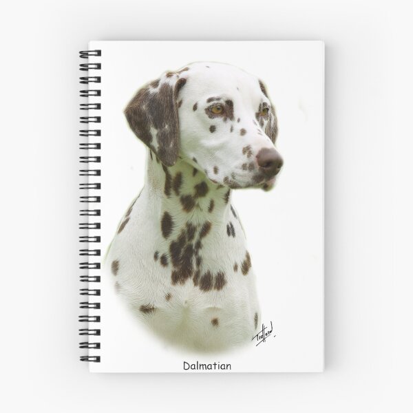 Item preview, Dalmatian designed and sold by Traffordphotos.