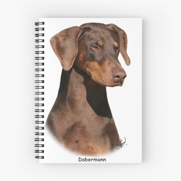Item preview, Dobermann designed and sold by Traffordphotos.