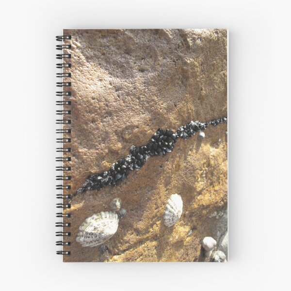 Item preview, "And Pretty Shells All in a Row" designed and sold by Skyhorse.