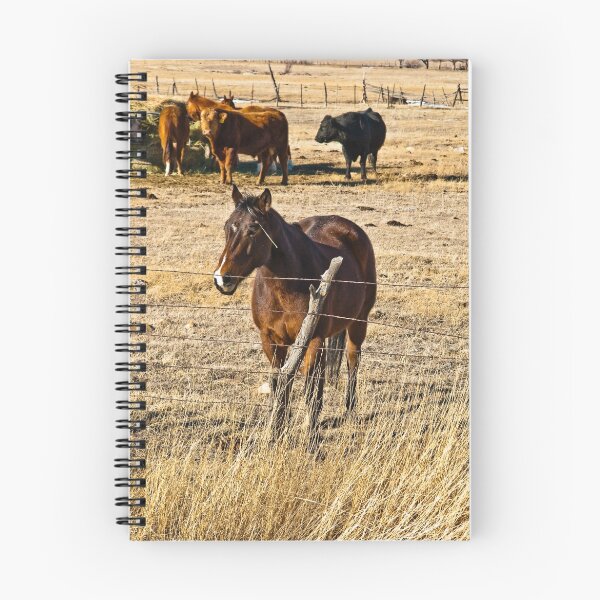 Item preview, Barbedwire Beauty designed and sold by J. D. Adsit.