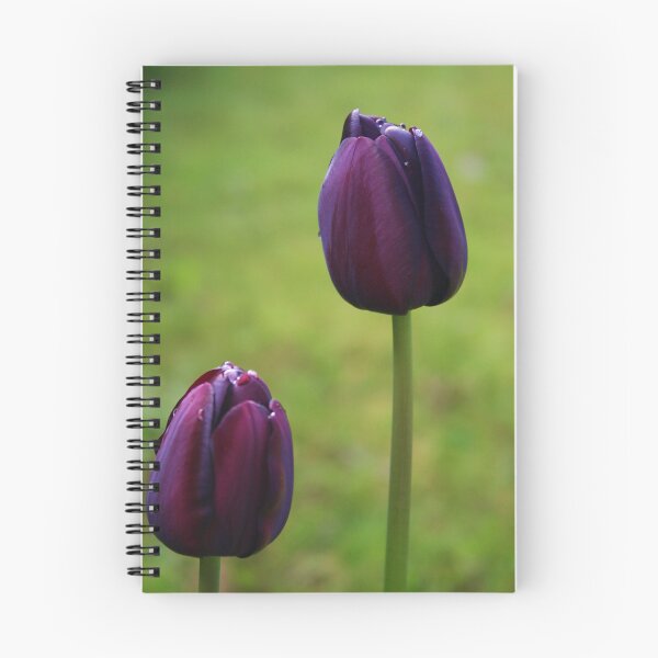 Item preview, Take Two designed and sold by Martina Fagan.