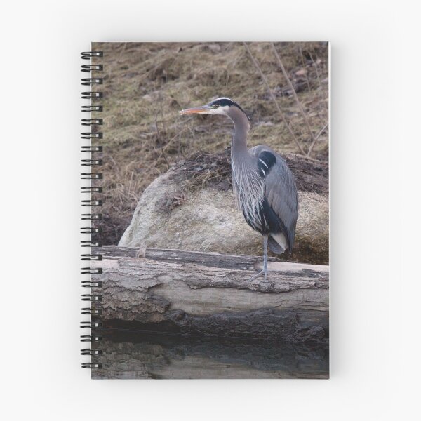 Artikelvorschau, Great Blue Heron entworfen und verkauft von JWallace.