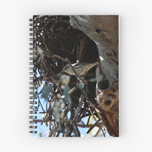 Item preview, Brave Bird, Striated Pardalote (Pardalotus striatus) designed and sold by Normf.