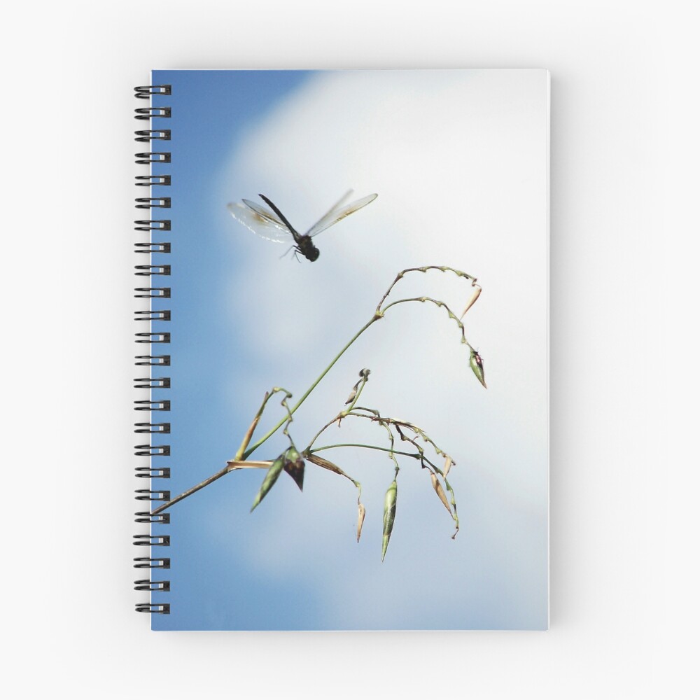 Vista previa del artículo con la obra «Cuaderno de espiral», diseñado y vendido por StillFrameTime.