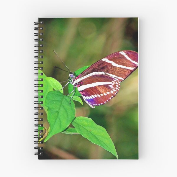 Item preview, Fly Like A Butterfly designed and sold by Jeffery Bennett.