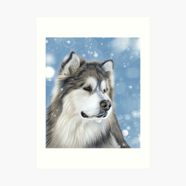 Alaskan Malamute - Arctic Blue Art Print