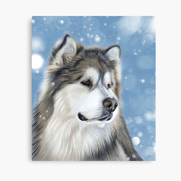 Alaskan Malamute - Arctic Blue Canvas Print