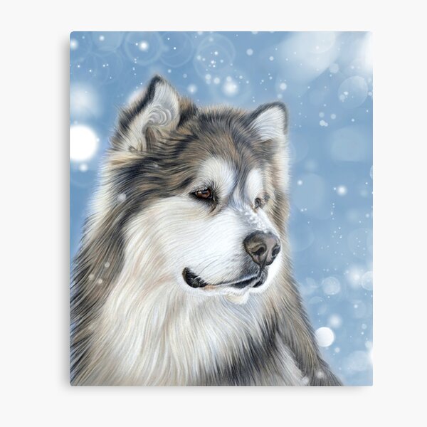Alaskan Malamute - Arctic Blue Metal Print