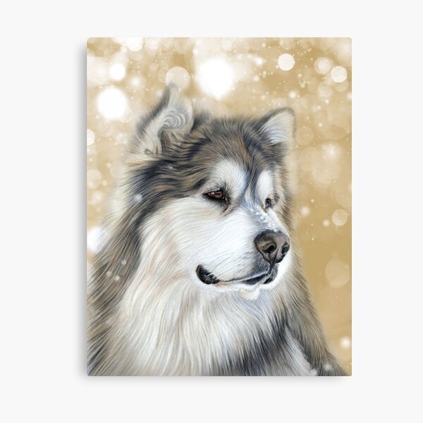 Alaskan Malamute - Old Gold Canvas Print