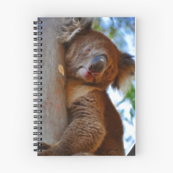 Item preview, Koala at Bonython Park designed and sold by Clintpix.