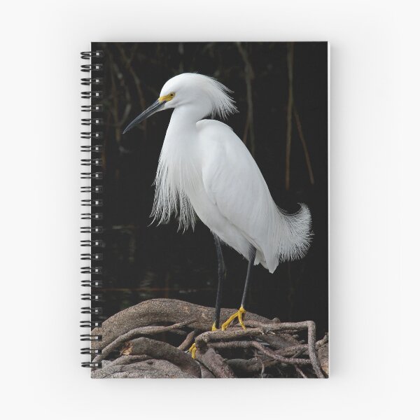 Item preview, Snowy Egret designed and sold by Larry Powell.