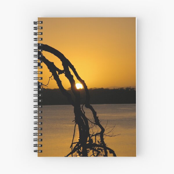 Item preview, Sunset through a branch designed and sold by Chris Mehl.