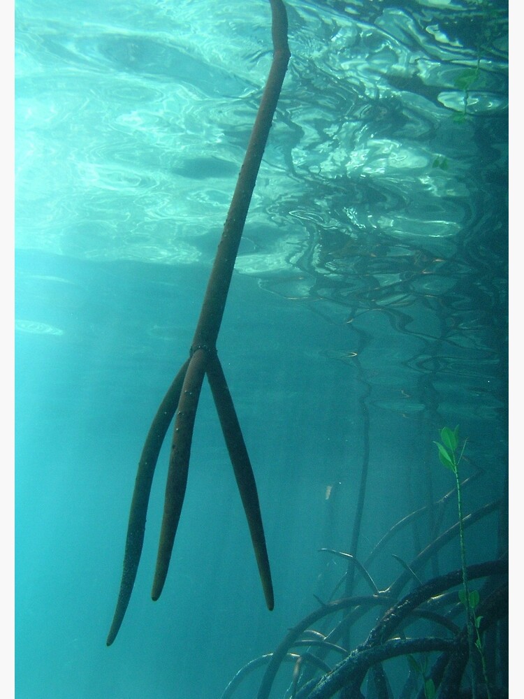 Trident by neoniphon