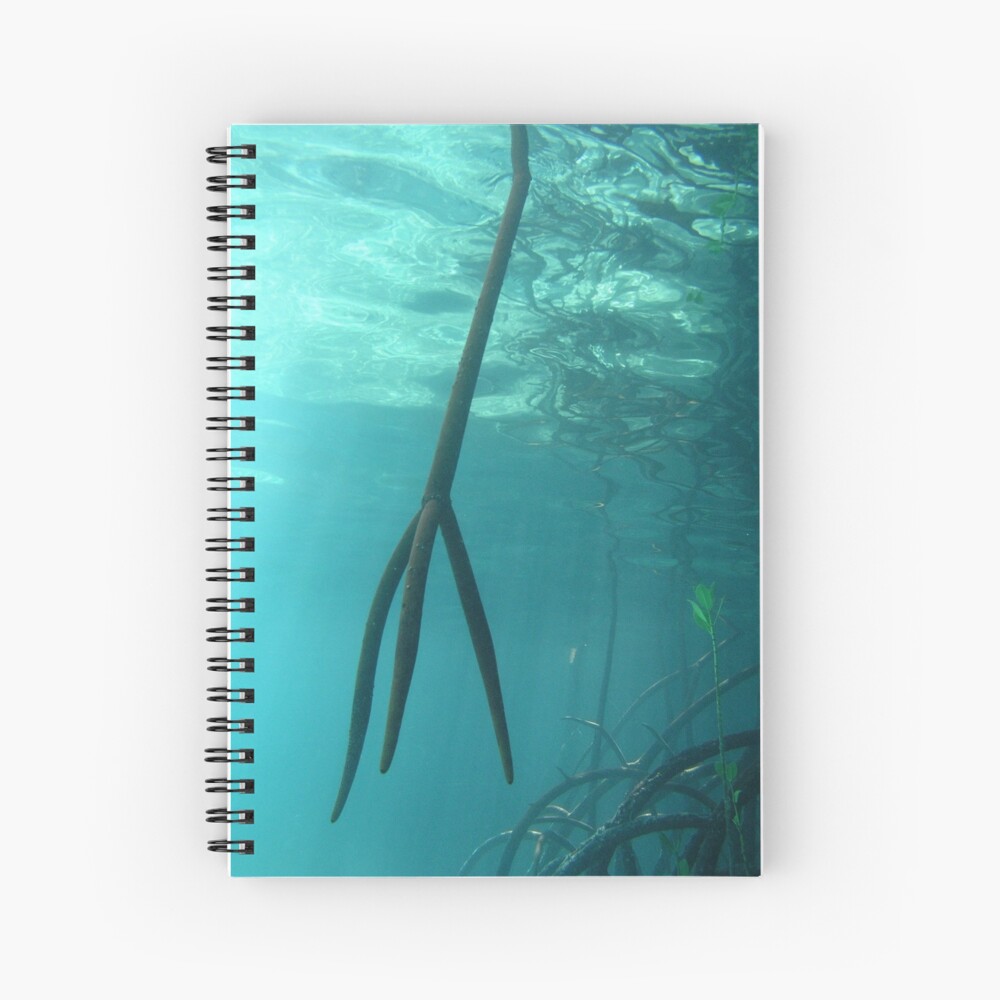 Trident Spiral Notebook