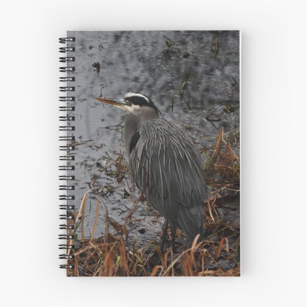 Item preview, Great Heron designed and sold by Julia Washburn.
