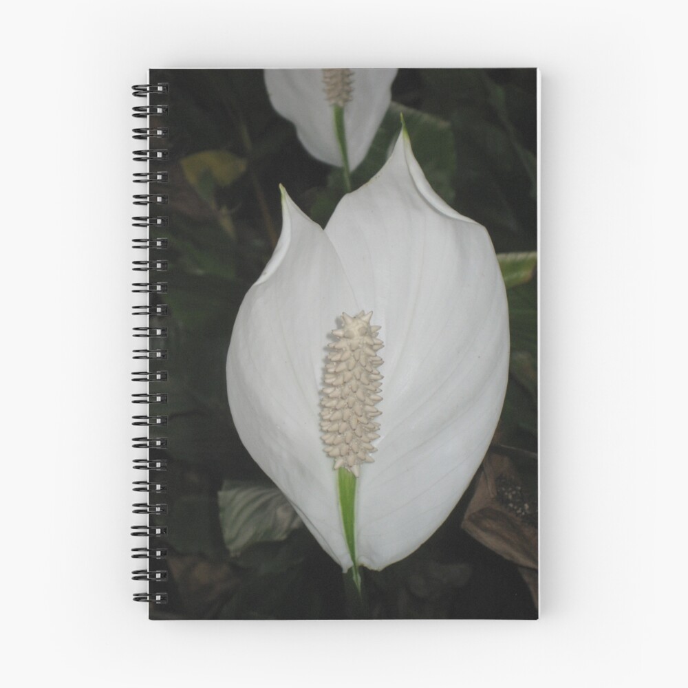 Item preview, Spiral Notebook designed and sold by RochelleJean.