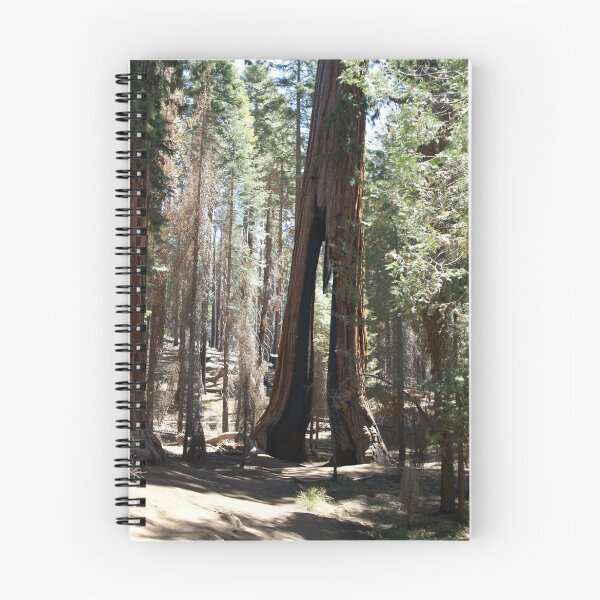 Item preview, Cloths pin tree designed and sold by photoclimber.