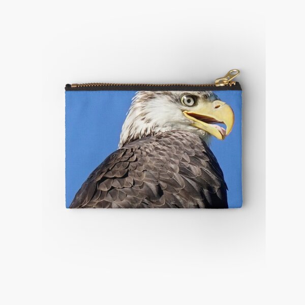 Item preview, Eagle designed and sold by Betsy Seeton.