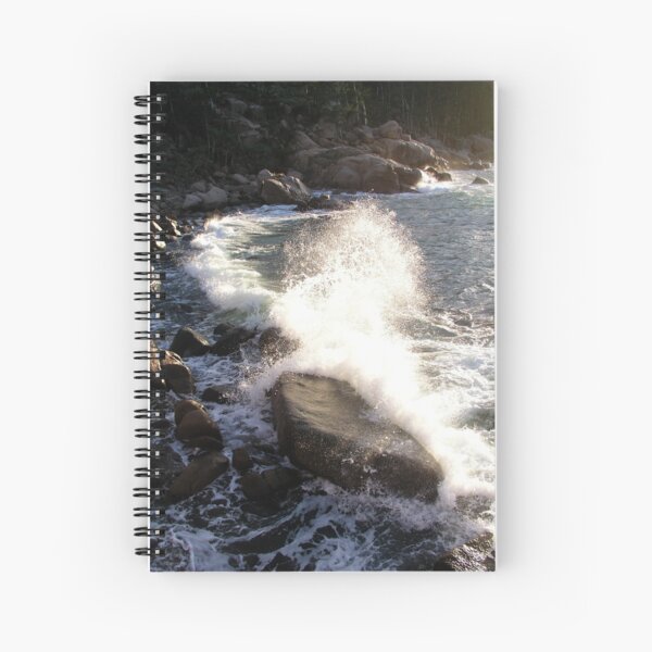 Item preview, 100th Wave designed and sold by Coral Sea Foundation.