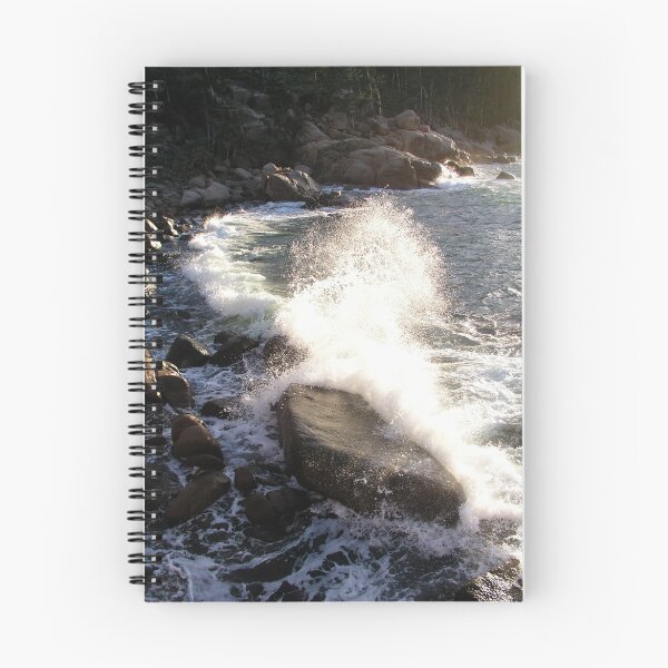 Item preview, 100th Wave designed and sold by Coral Sea Foundation.