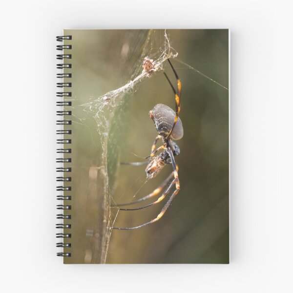 Item preview, Golden Orb designed and sold by Daniel Spruce.