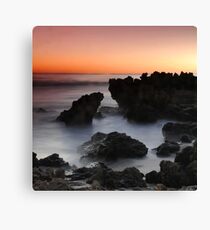 Prehistory Canvas Print