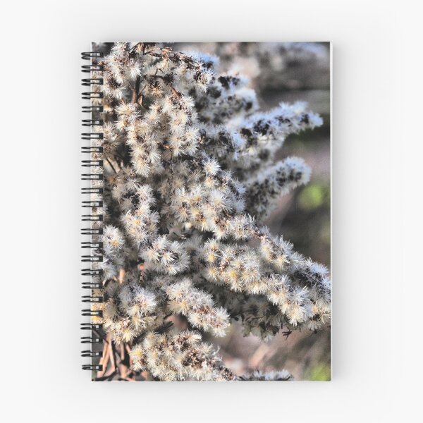 Item preview, Field Plants 2 designed and sold by jongarrett777.