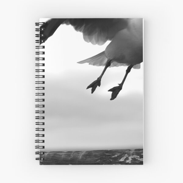Artikelvorschau, Flying High entworfen und verkauft von Naomi Clarke.