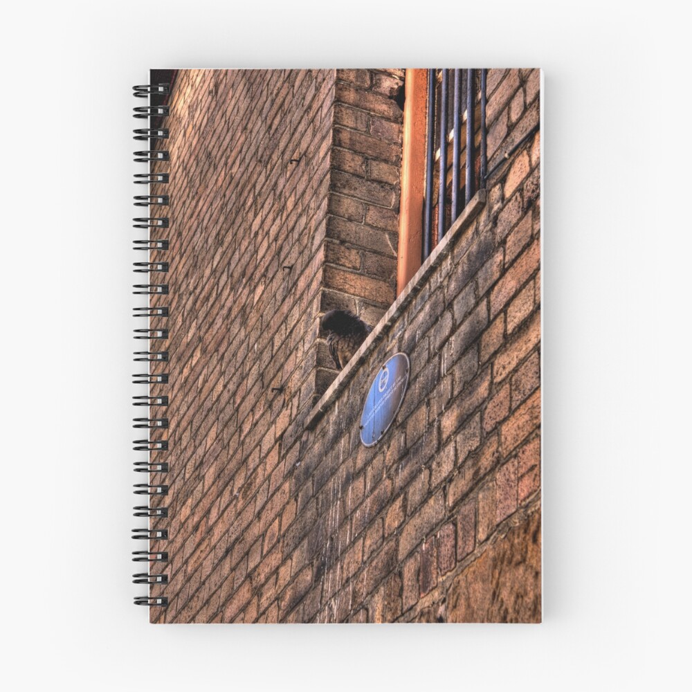 Item preview, Spiral Notebook designed and sold by RoddyM.