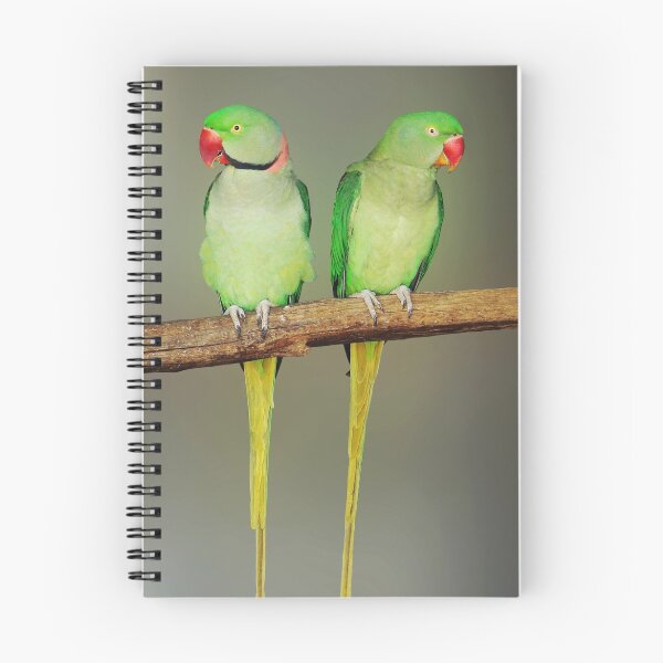 Item preview, INDIAN RINGNECK PARAKEETS designed and sold by Michael Sheridan.
