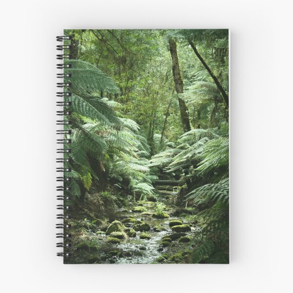 Item preview, Tarra-Bulga National Park designed and sold by Stephen McMillan.