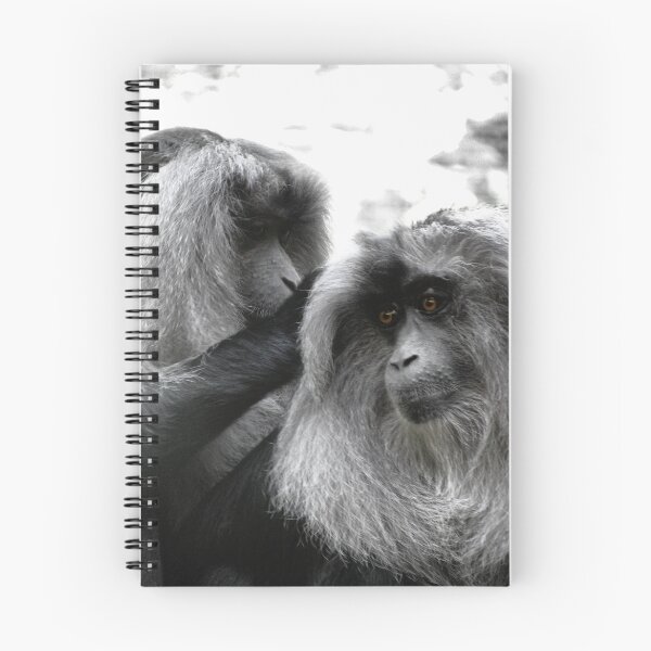 Item preview, Monkeys from the Zoo designed and sold by Elizarose.