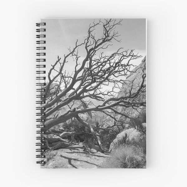 Item preview, Barren Tree designed and sold by Livia-LeRynn.