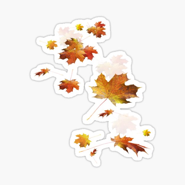 Autumn Fall Leaves Maple Leaf Beautiful Graphic Spiral of Fall Colors Sticker