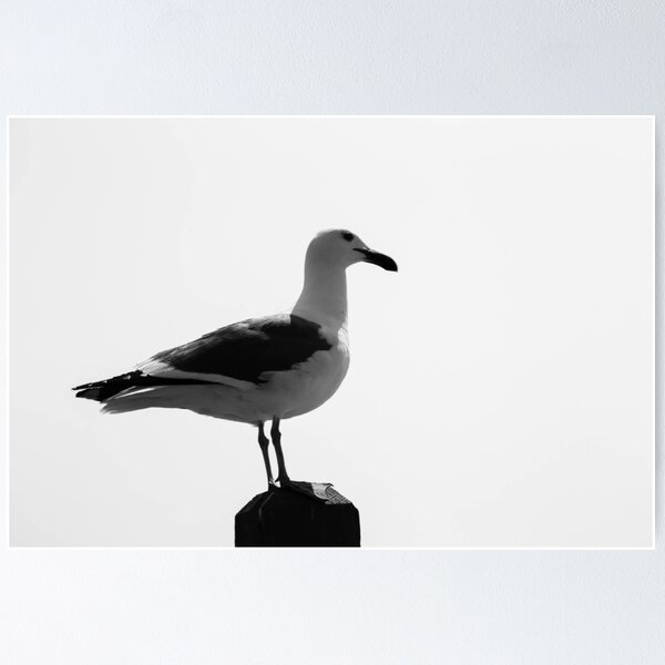 Item preview, Blue Filter Seagull designed and sold by Fike2308.