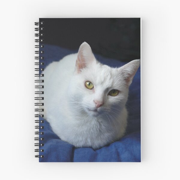Item preview, The Look Of Love designed and sold by Sally Green.