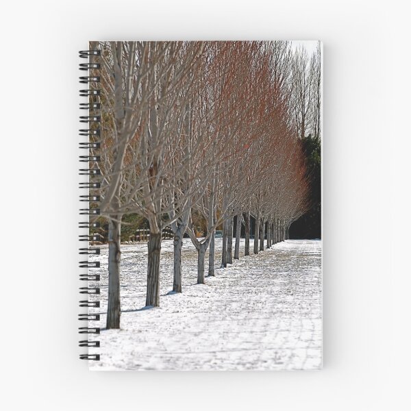 Item preview, Single File designed and sold by Pamela Hubbard.