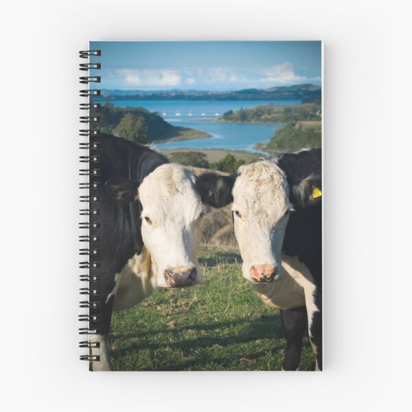 Item preview, No Bull designed and sold by Al Ronberg.