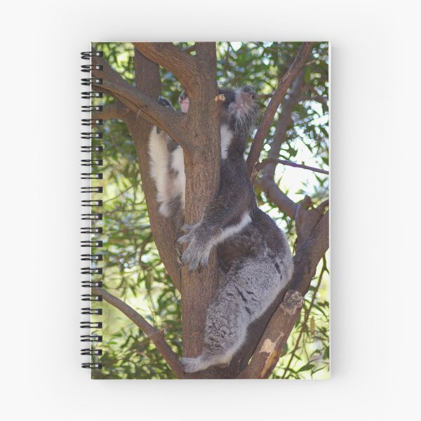 Item preview, Sleepy Koala designed and sold by Magnetic.