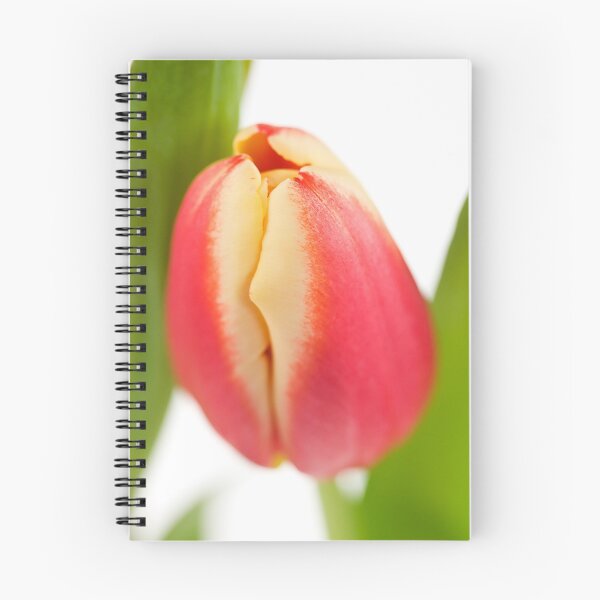 Item preview, Red and yellow tulip, leaf surround designed and sold by Ashley Crombet-Beolens.