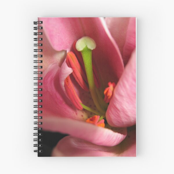 Item preview, From my Valentine....xxxxx designed and sold by sarah bragg.
