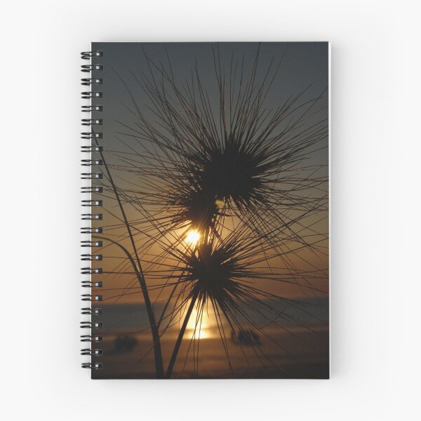 Item preview, Tumbleweed, Cable Beach, Broome,  Western Australia designed and sold by Adrian Paul.