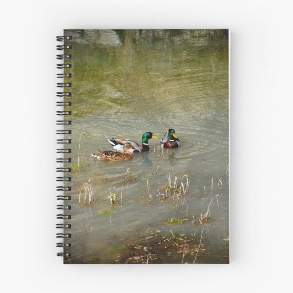 Item preview, Dabbling Ducks designed and sold by TJ Zook.