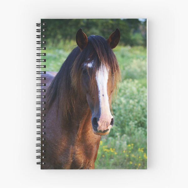 Item preview, Tennessee Walker Stallion designed and sold by Samantha Dean.